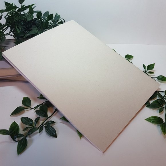 Book Native Soldiers Foreign Battlefields by Veterans Affairs Canadian Military - Picture 5 of 6